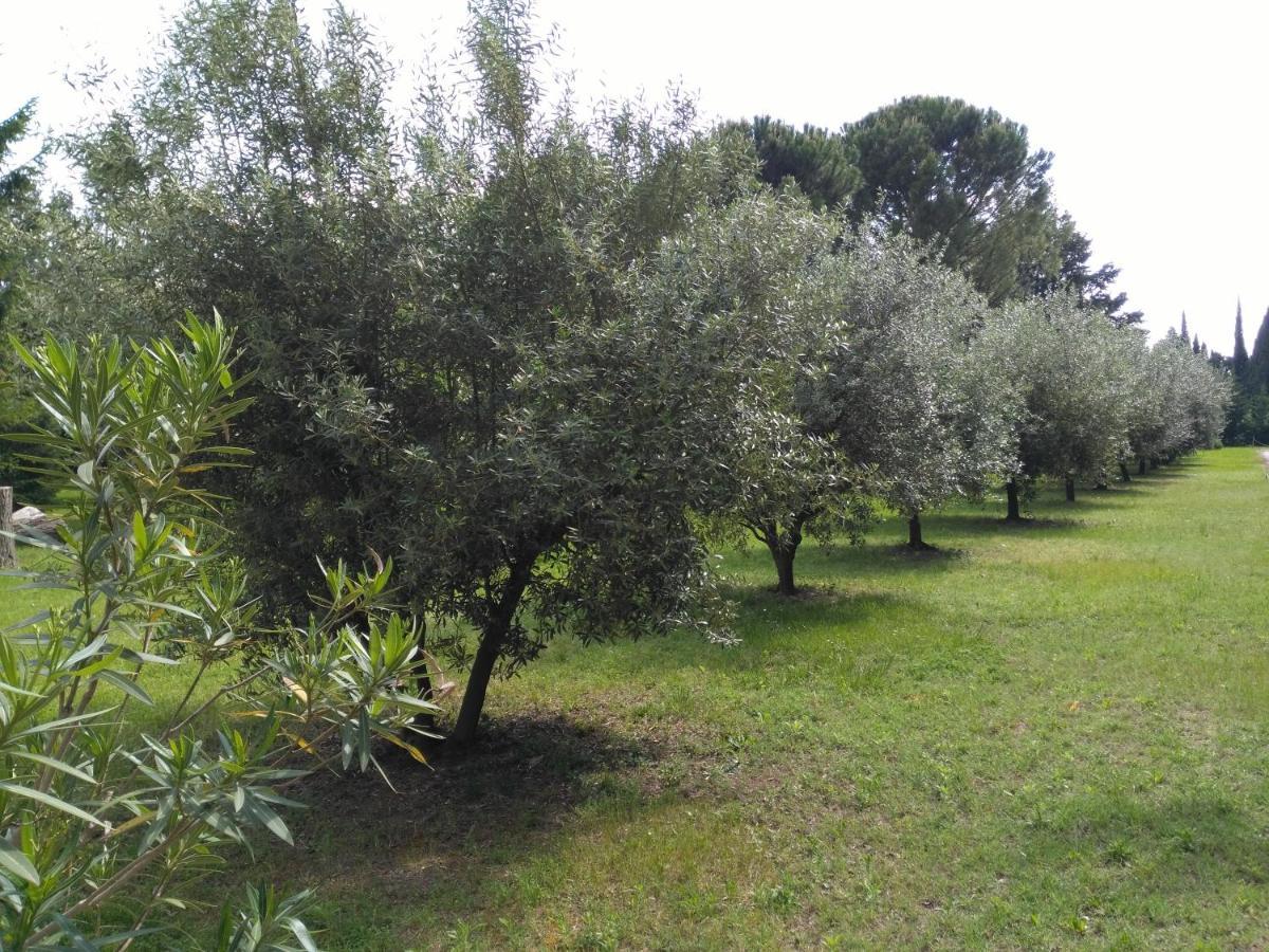 Bed and Breakfast Reve D'Emma Plan-dʼOrgon Exterior foto